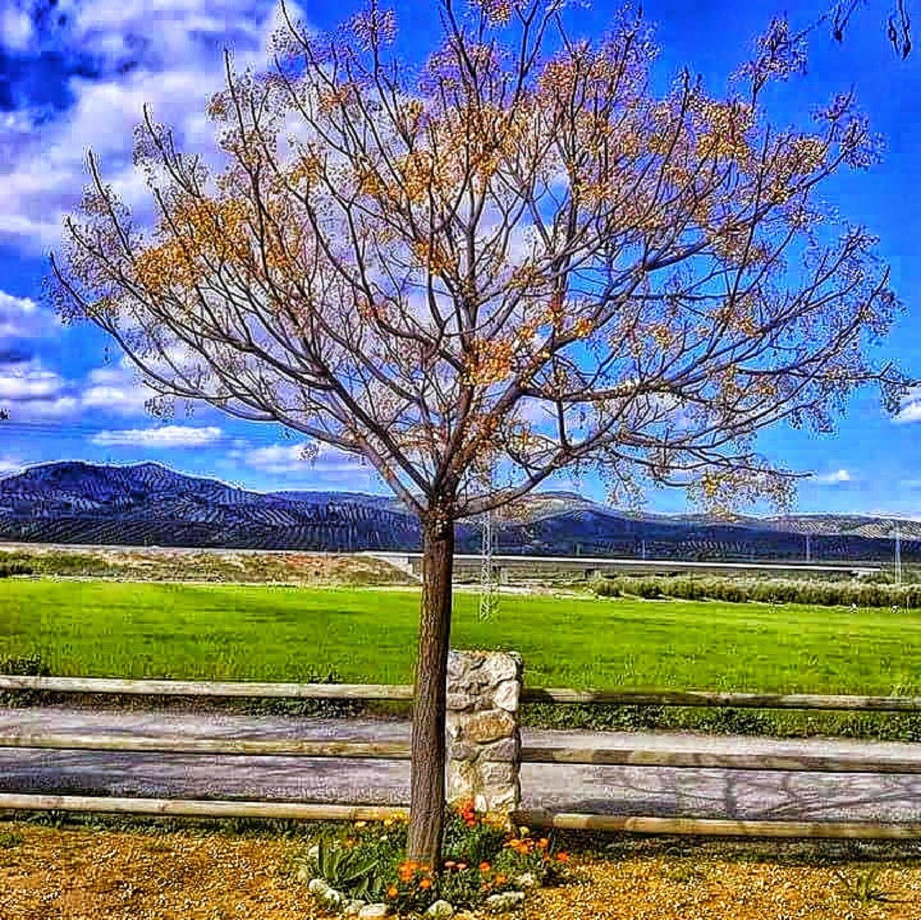 מלון Illora Alojamiento Rural El Cortijuelo מראה חיצוני תמונה